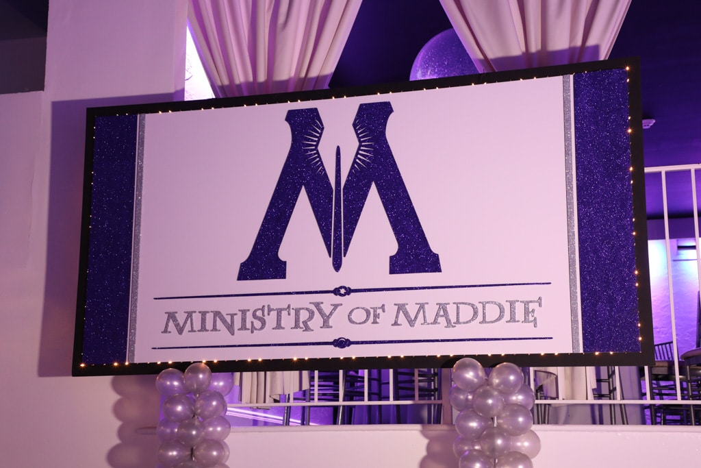 Harry Potter Backdrop with Custom Logo and Lights