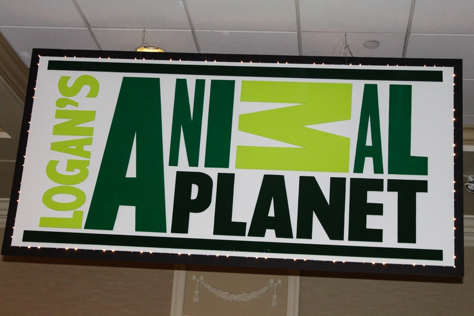 Animal Planet Themed Bar Mitzvah Backdrop