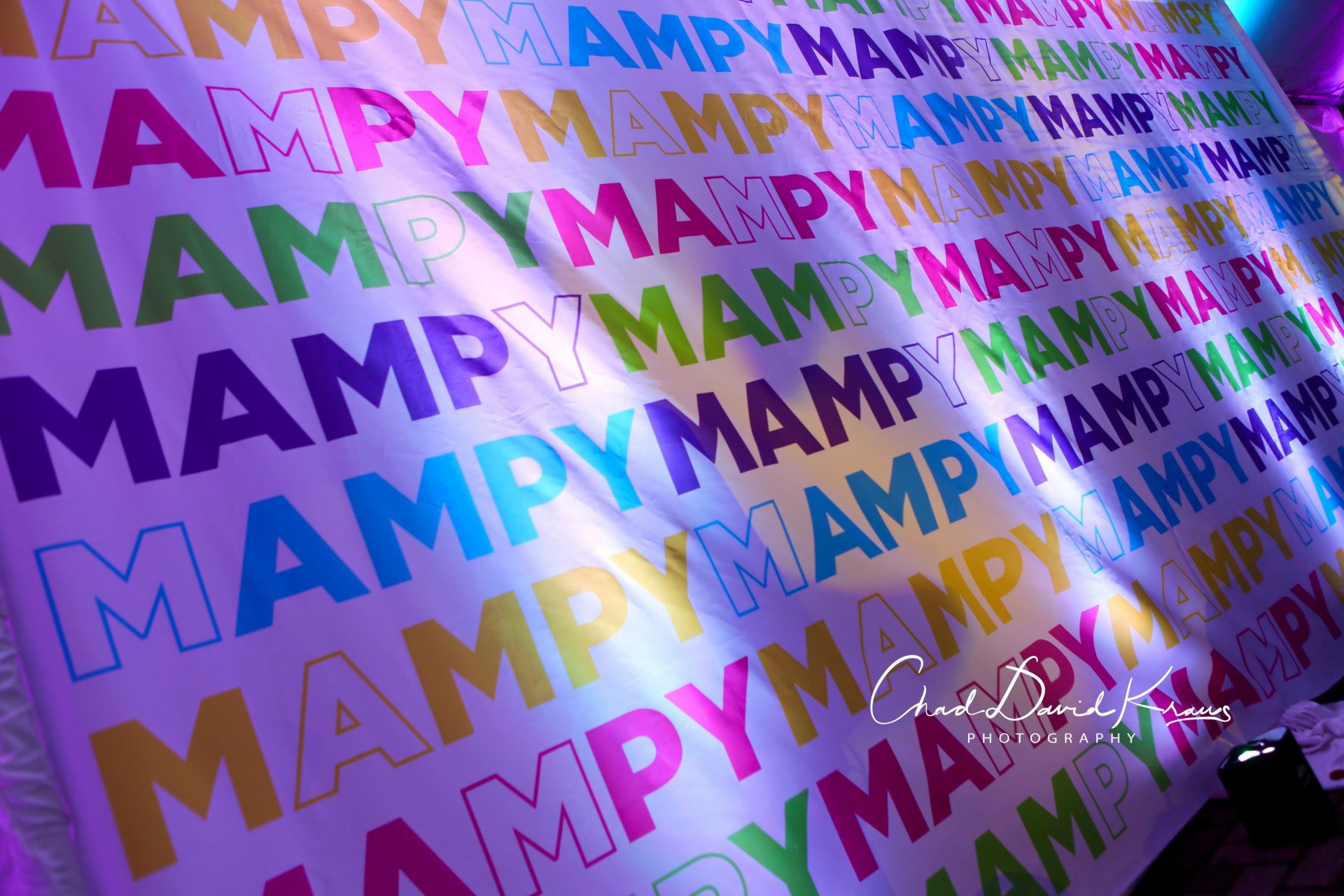 Custom Mural with Logo for Tent Bat Mitzvah Decor