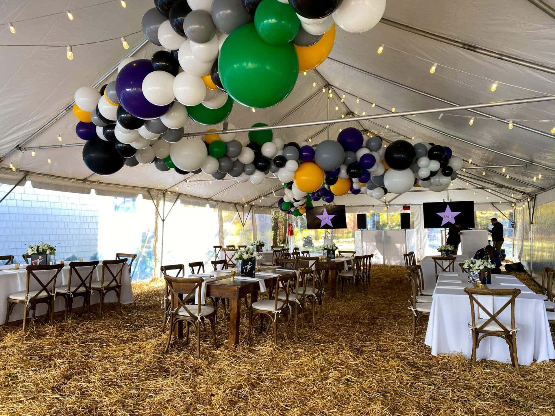 Ceiling Balloon Garland for Outdoor Event