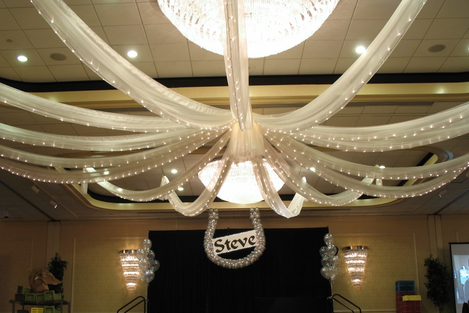 Silver Organza Draping