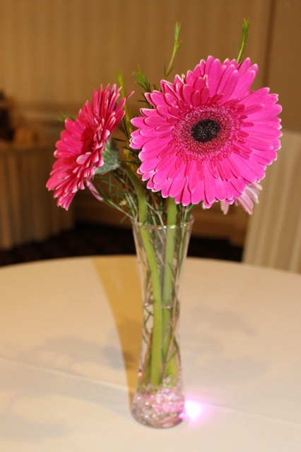 Pink Gerber Daisies in Mini Vase Cocktail Centerpiece