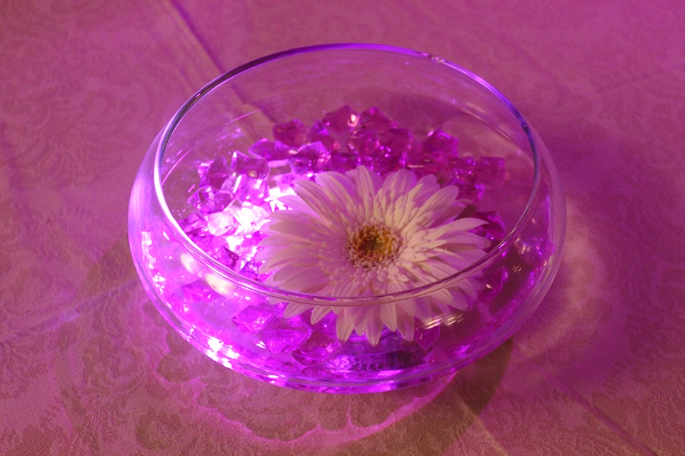Pink Crystal Chips and LED Lights with Floating Gerber Daisy