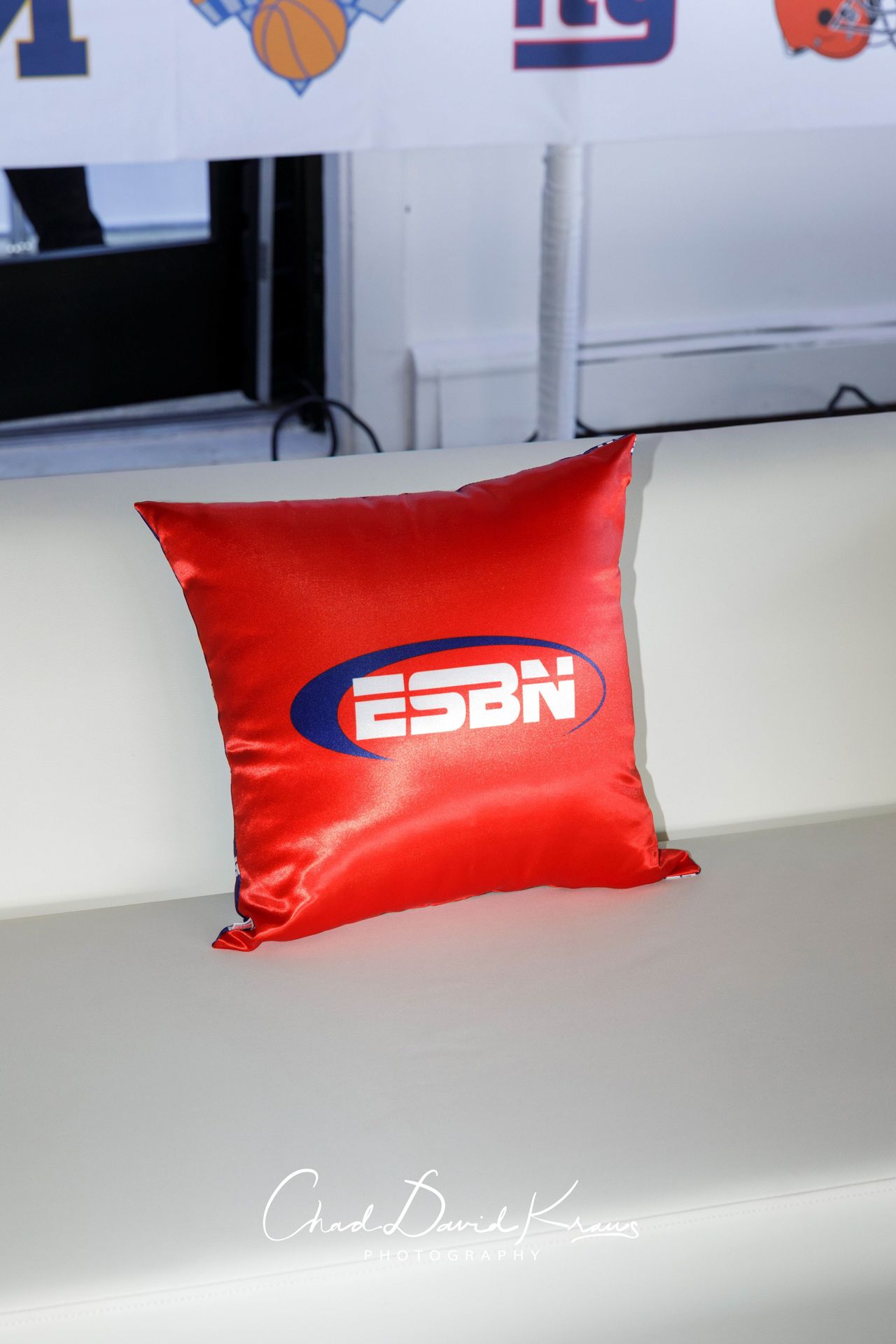 Custom Pillow for a ESPN Theme Bar Mitzvah