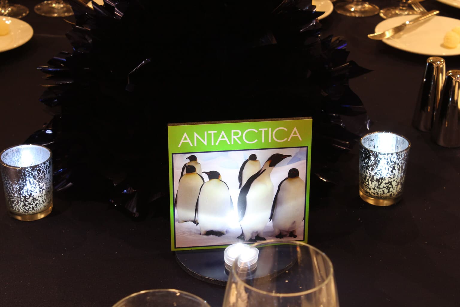 Custom Table Signs for Animal Themed Bar Mitzvah