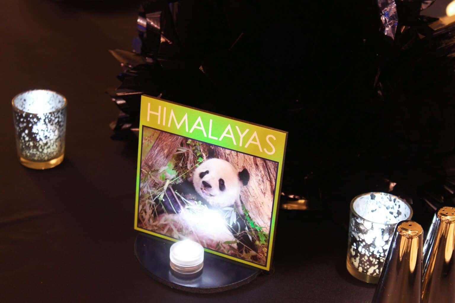 Custom Table Signs for Animal Themed Bar Mitzvah