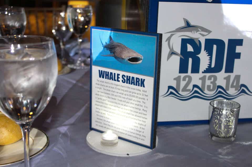 Shark Themed Info Sheet Table Signs