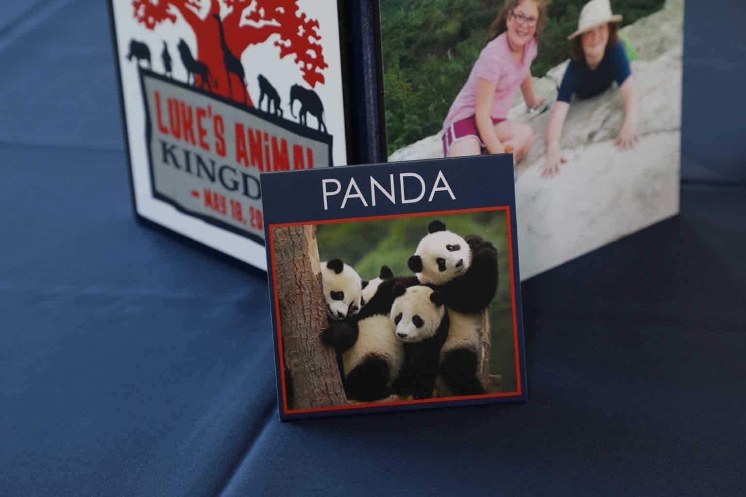Custom Panda Bear Table Sign for Animal Themed Bar Mitzvah