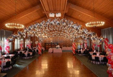 Hot Pink and Silver Balloon Canopy