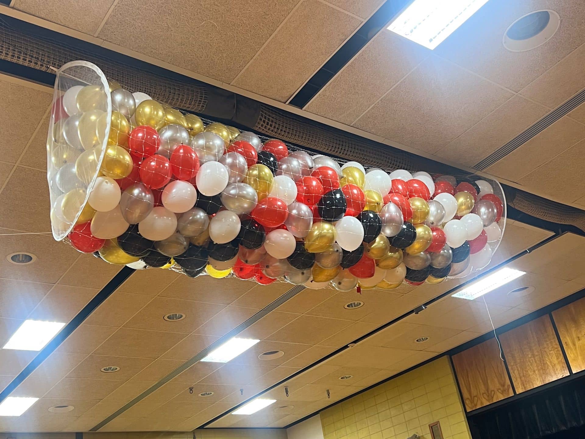 Silver, Gold, Black, Red and White Balloon Net Drop
