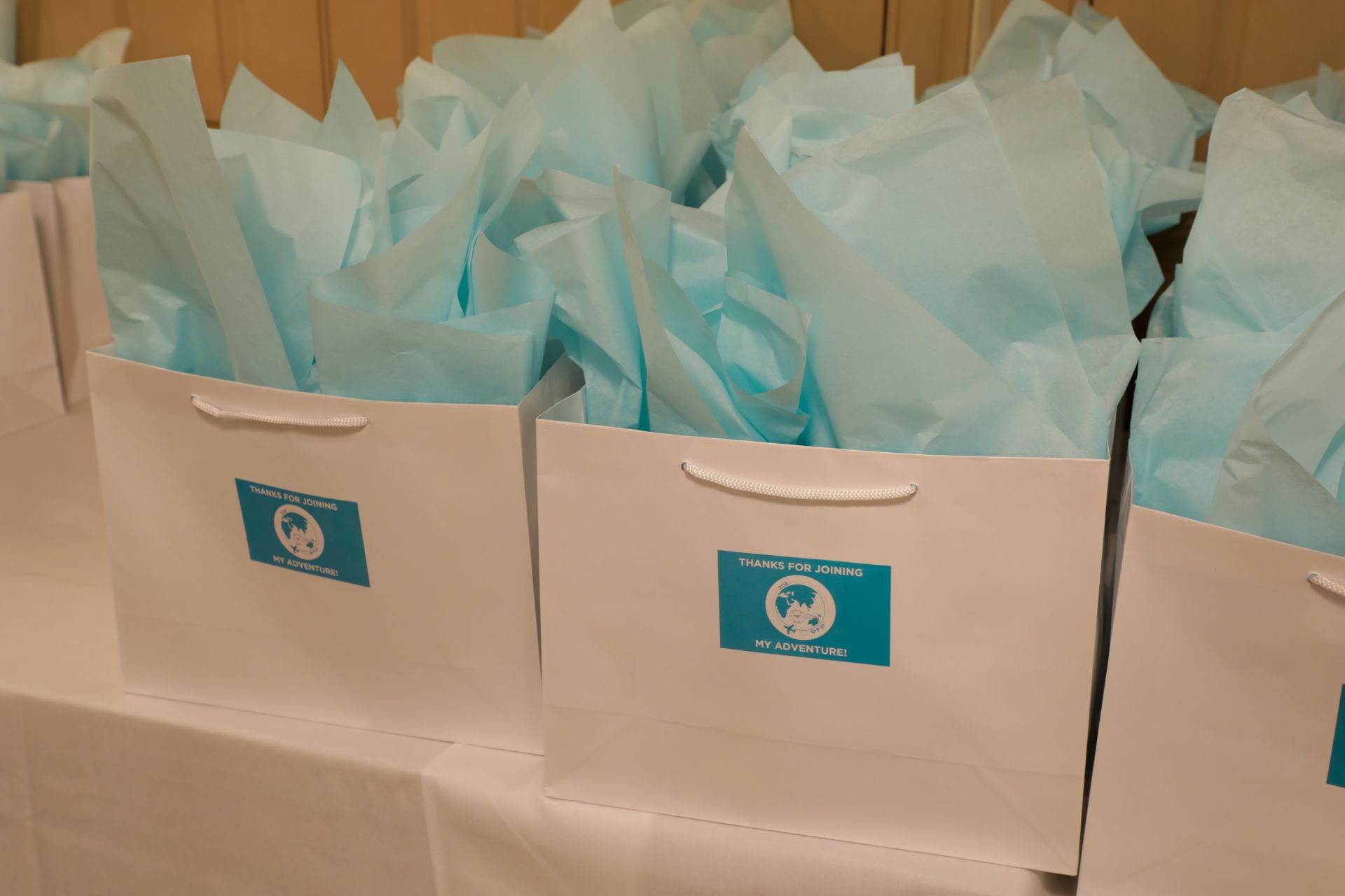 Custom Favors Bag and Tag for Travel Theme Bat Mitzvah