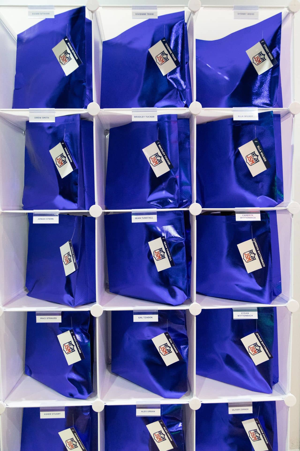 Bar Mitzvah Bag and Tag Cubbies
