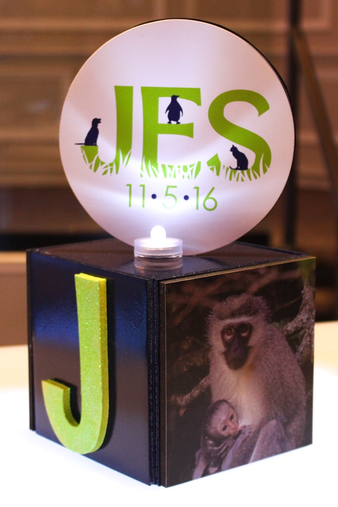 Animal Themed Centerpiece with Custom Logo and Photos