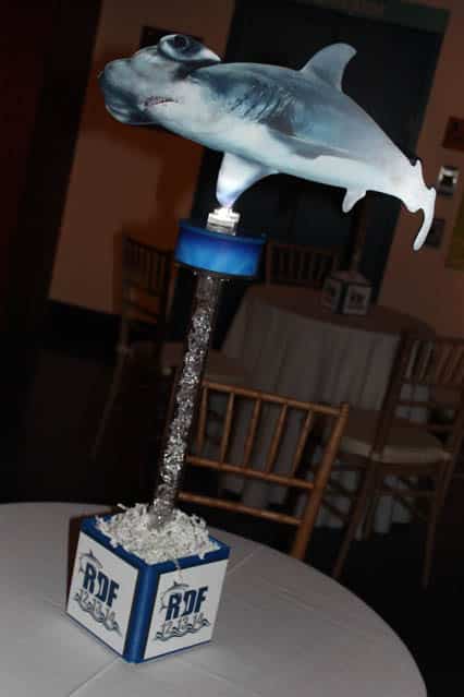 Mini Cube Centerpiece with Pedestal and Shark Cutout for Hightop Table