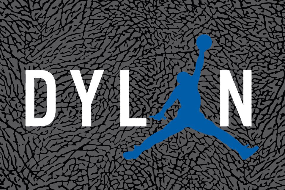 Air Jordan Jumpan Logo