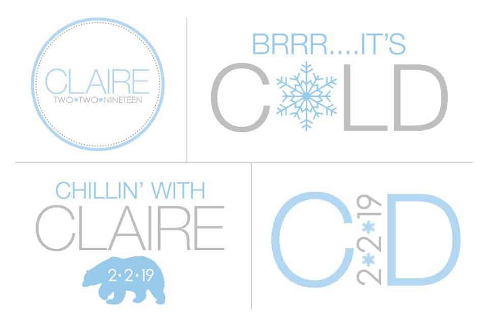 Winter Themed Bat Mitzvah Logo