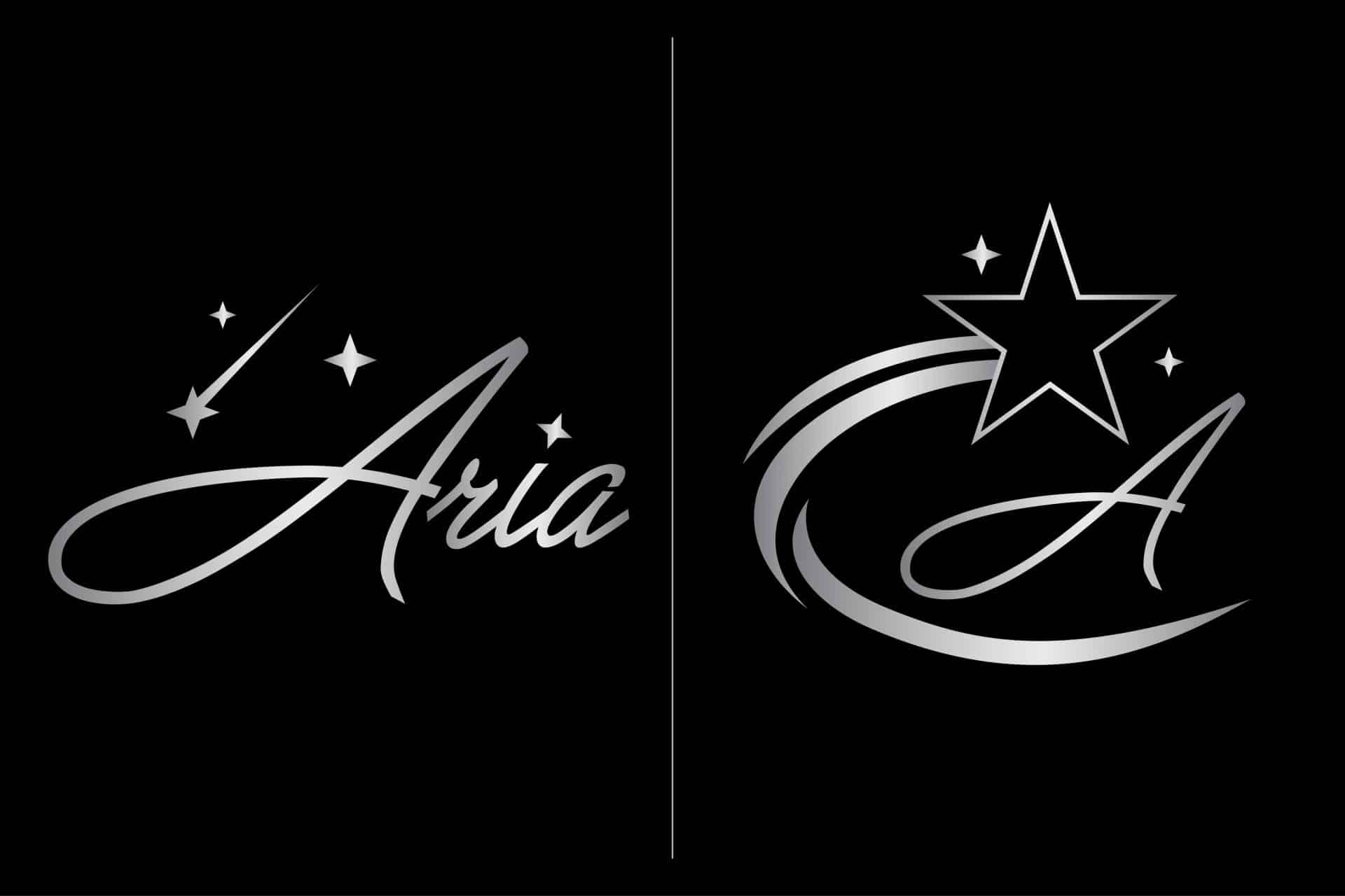 Galaxy Bat Mitzvah Star Logo Design