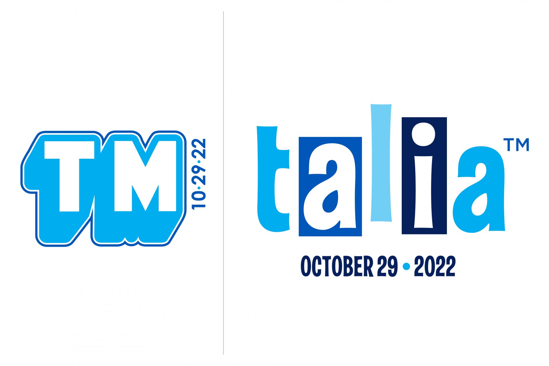 Hairspray Themed Bat Mitzvah Logo