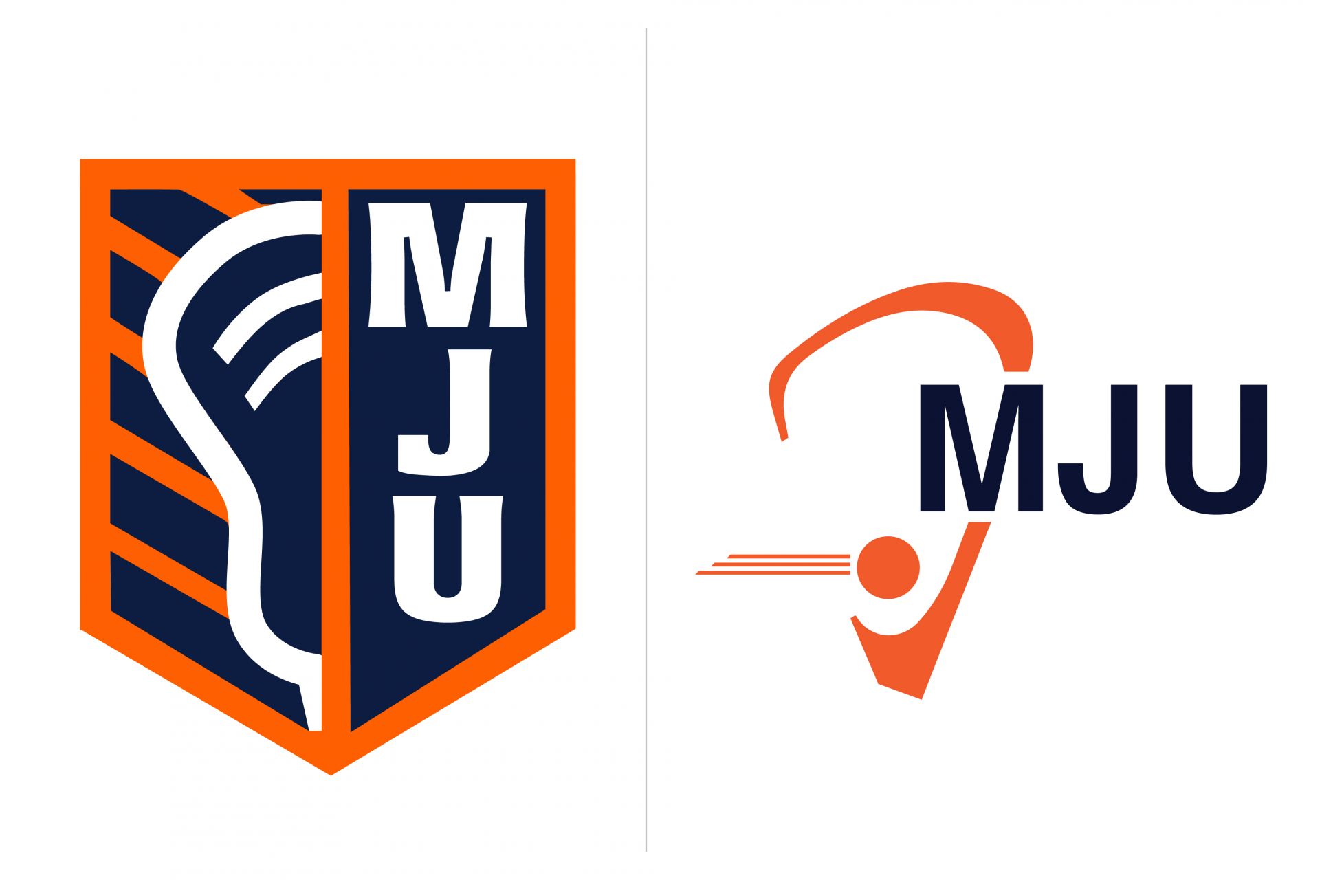 Custom Lacrosse Logo for Sports Themed Bar Mitzvah