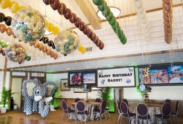 Safari Jungle Themed Birthday Party