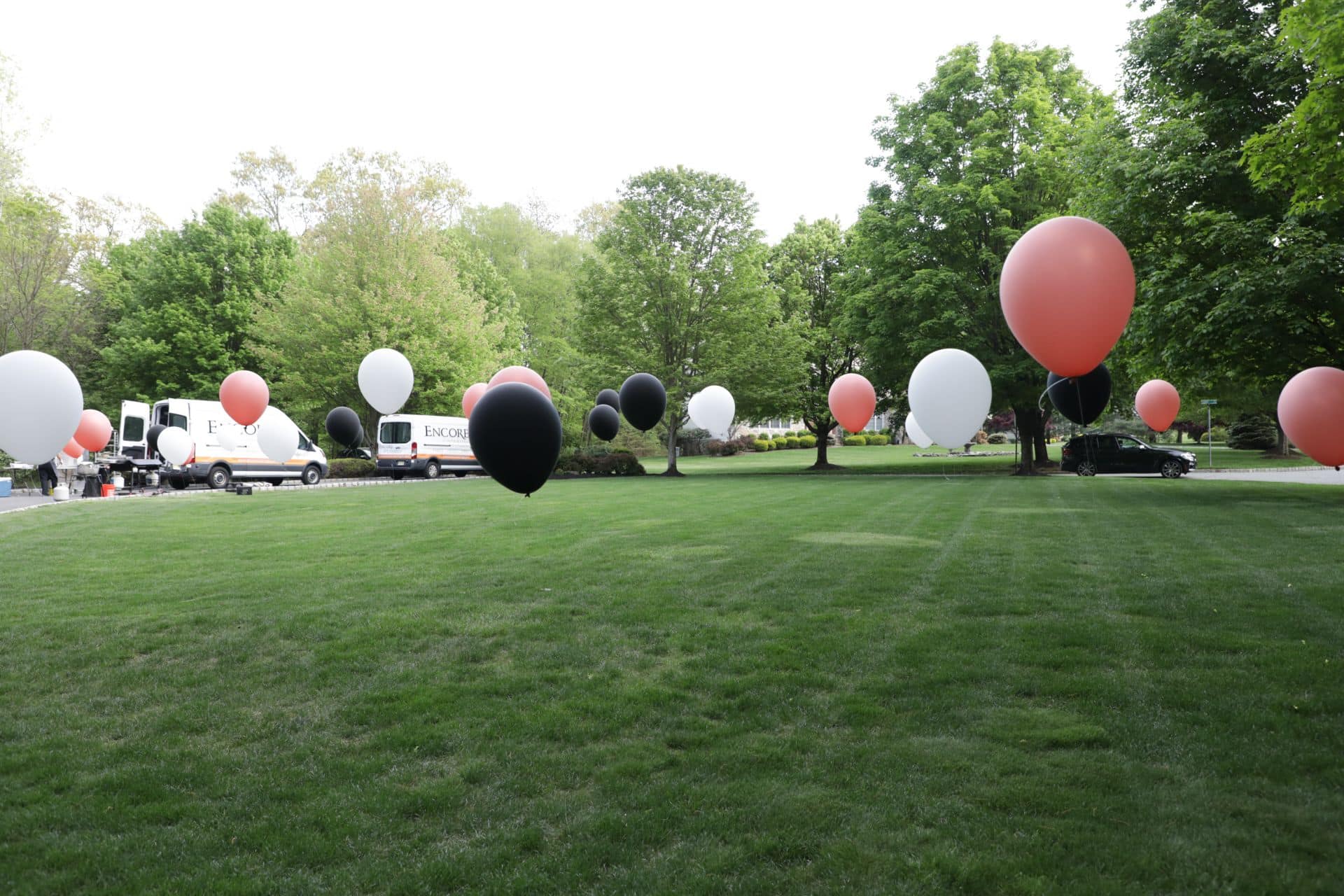 Free Standing Balloons Over Backyard for Outdoor Party Decor