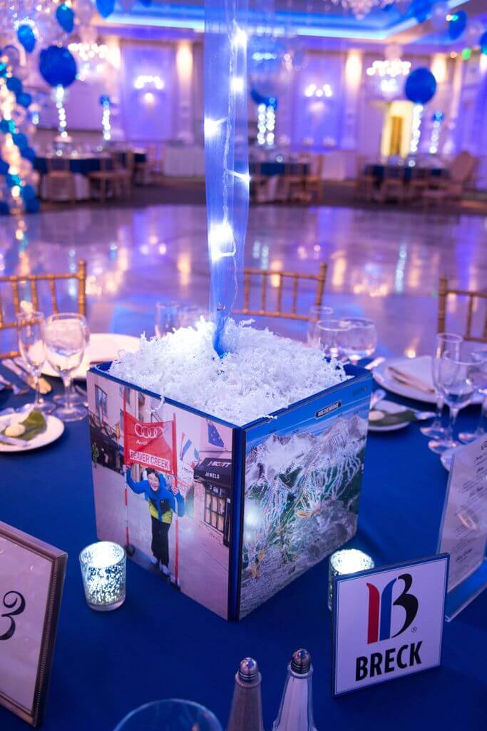 Ski Themed Photo Cube with Trail Maps and Photos