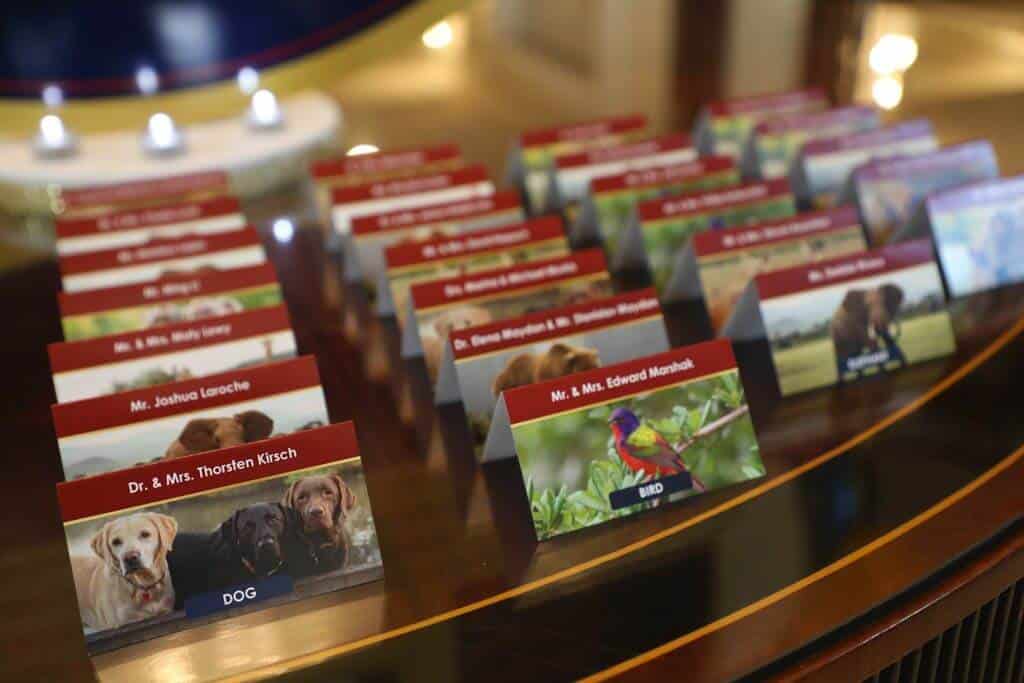 Animal Themed Place Cards for Noah's Ark Themed Bar Mitzvah