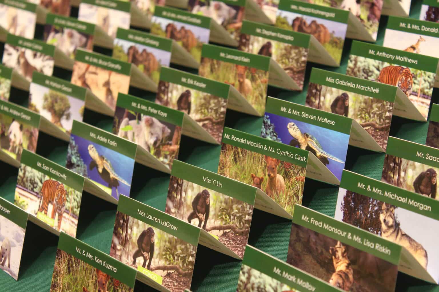 Custom Animal Themed Place Cards with Photos
