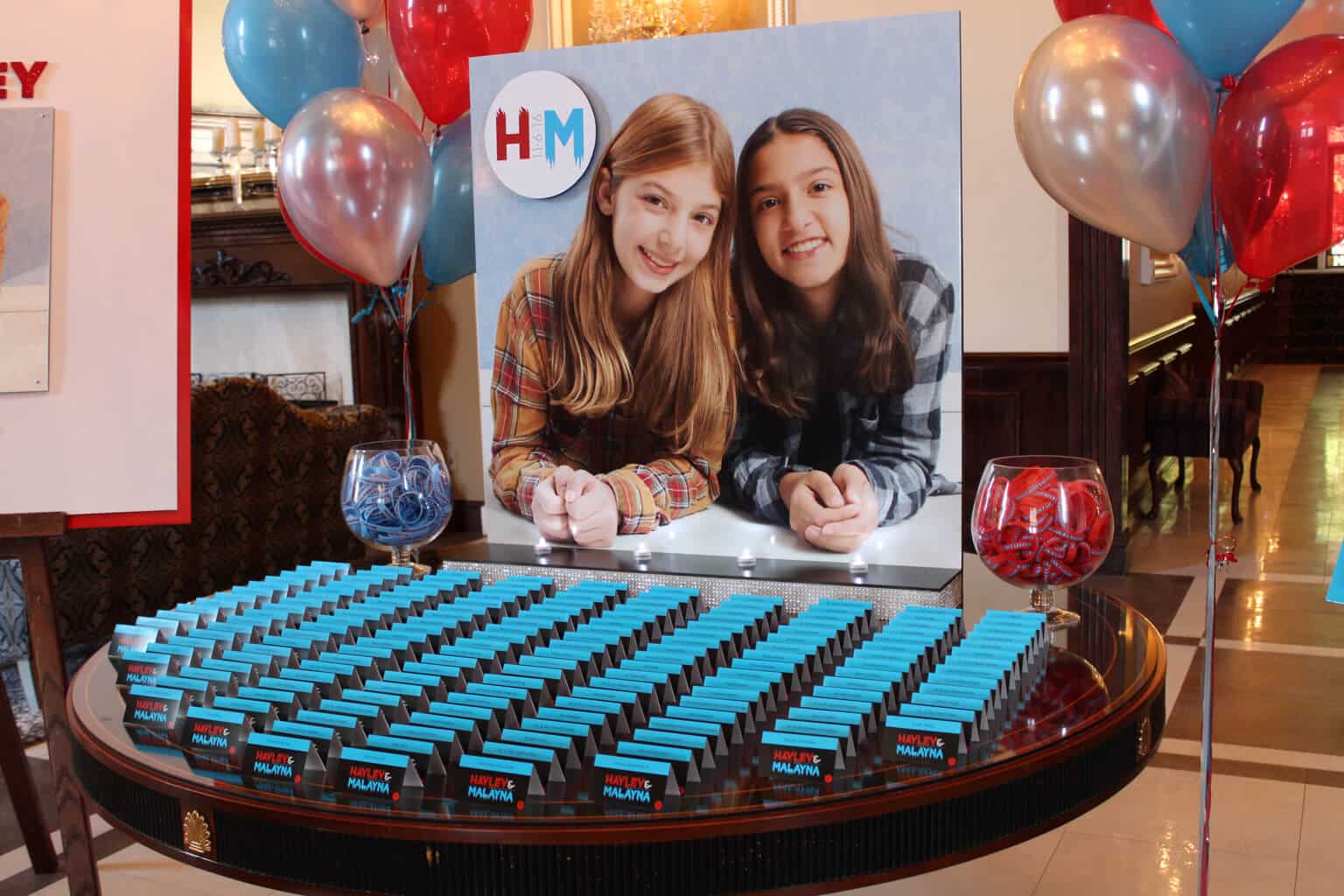 Fire and Ice Seating Card Display with Blowup Photo