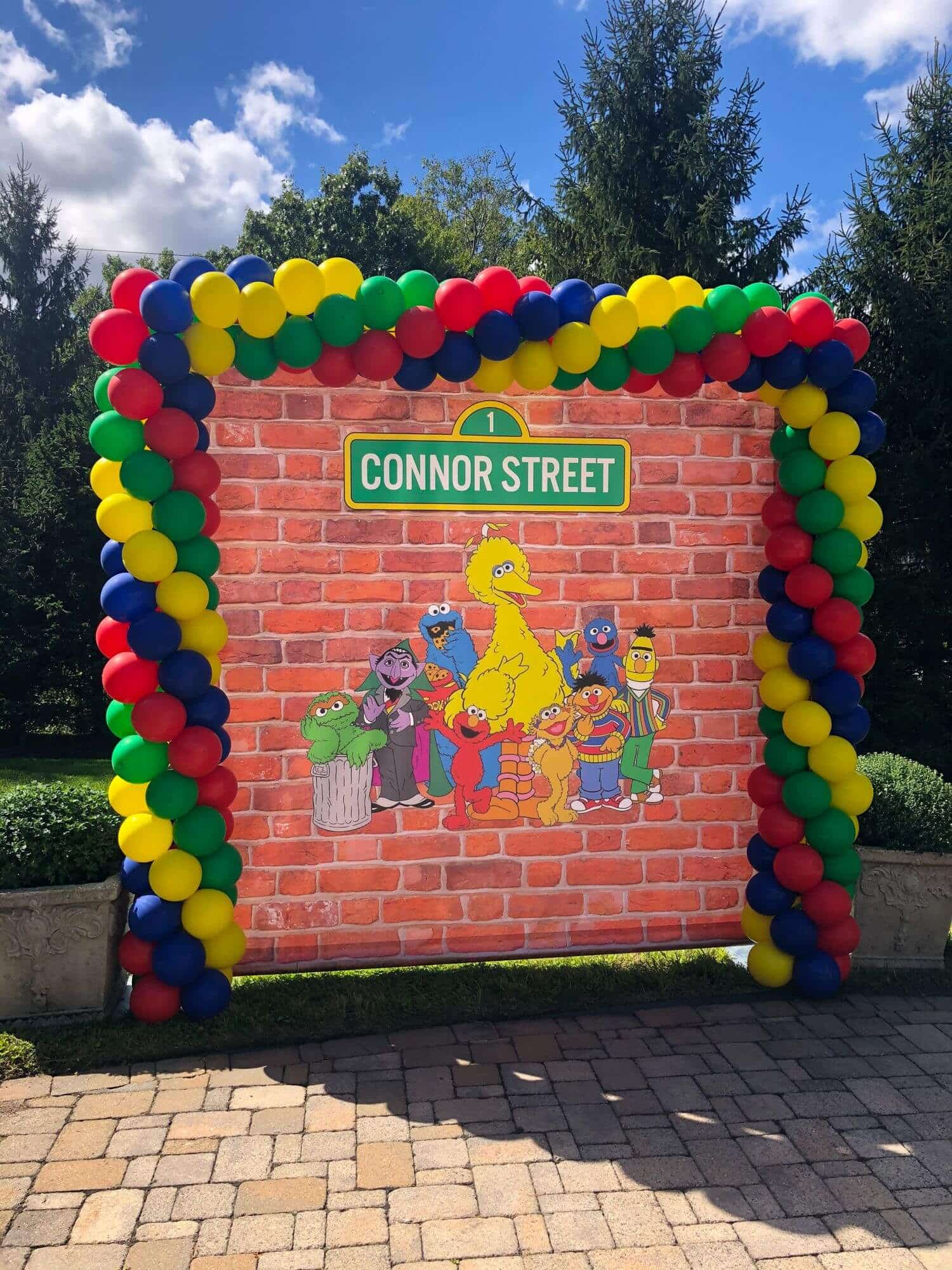 Sesame Street Custom Backdrop with Balloon Arch for First Birthday