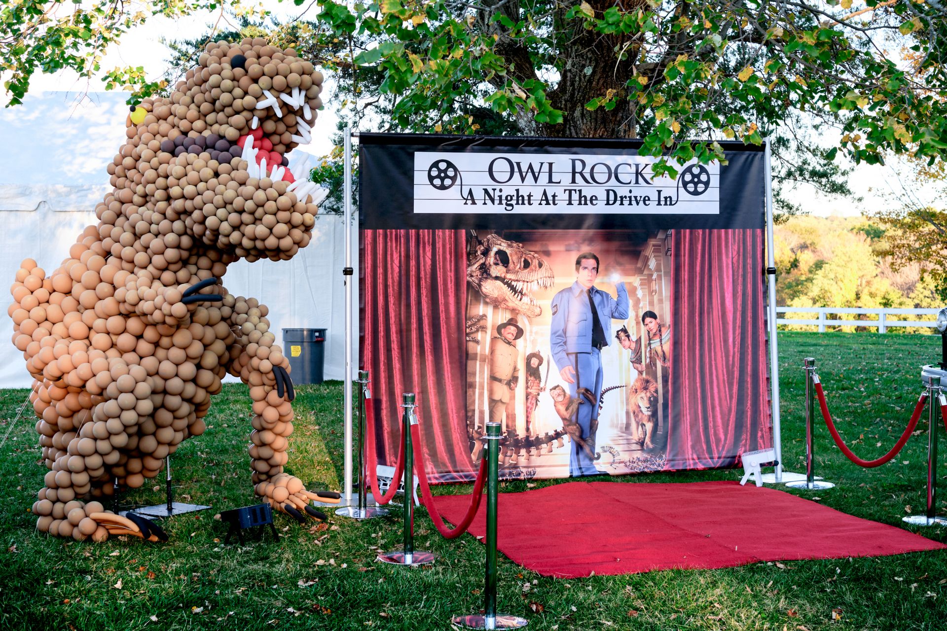 Custom Midnight in the Museum Themed Vinyl Backdrop for Outdoor Movie Night