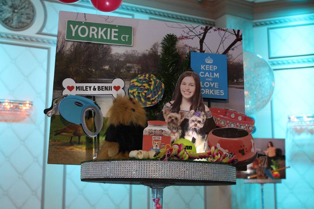 Dog Themed Diorama Centerpiece with Photos and Props