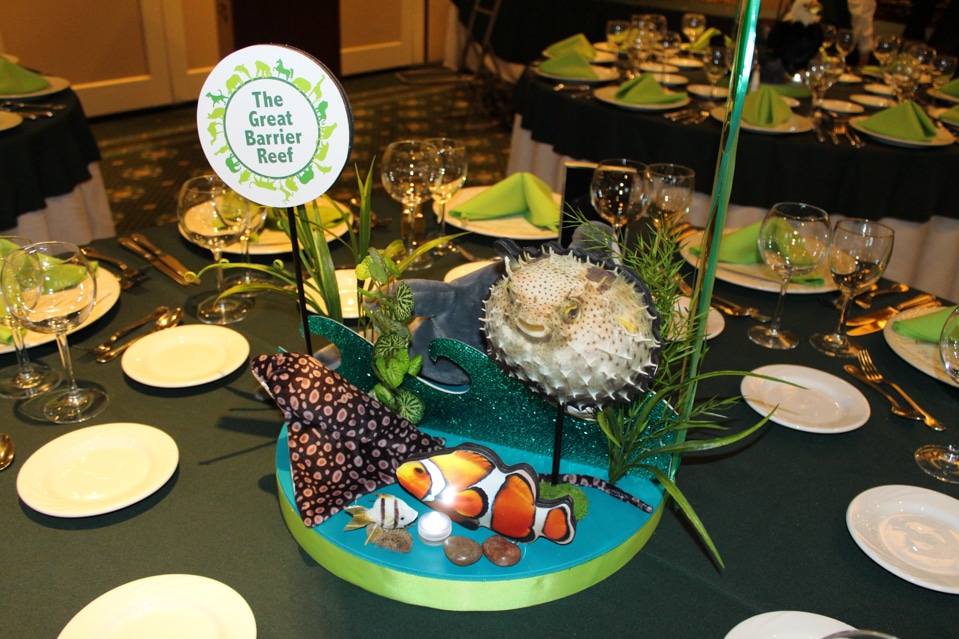 Animal Planet Themed Bar Mitzvah Centerpiece