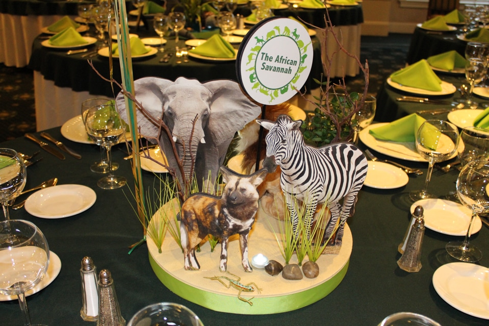 Animal Planet Themed Bar Mitzvah Centerpiece