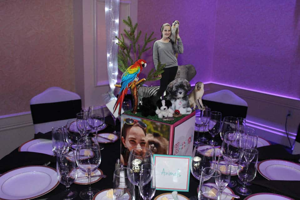 Everything Girl Animals Themed Centerpiece with Photo Cube and 3D Topper Scene