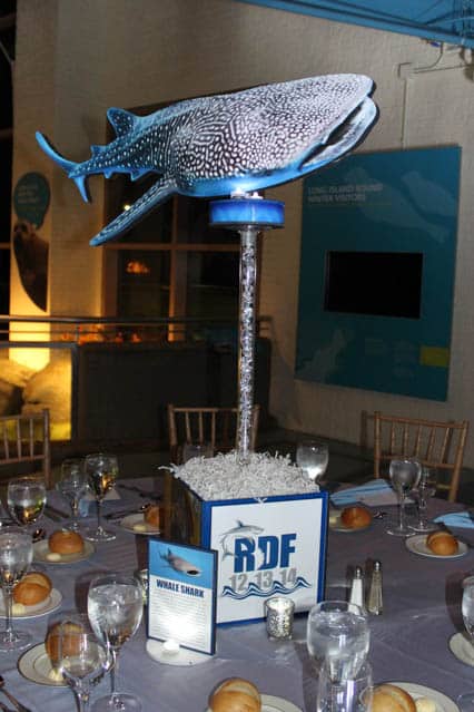 Bar Mitzvah Photo Cube Centerpiece with Pedestals and Blowup Shark Images