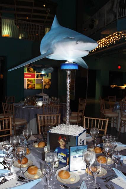 Shark Themed Bar Mitzvah Centerpiece with Custom Logo and Blowup Sharks