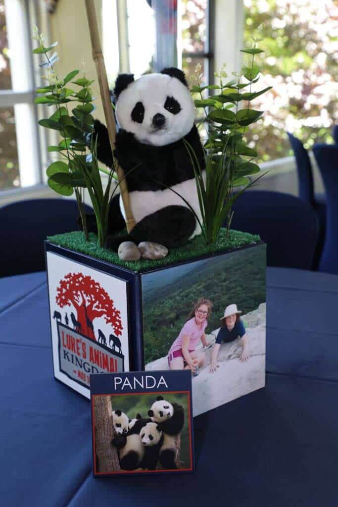 Safari Themed Cube Centerpiece with Custom Logo, Photos and Plush Animals