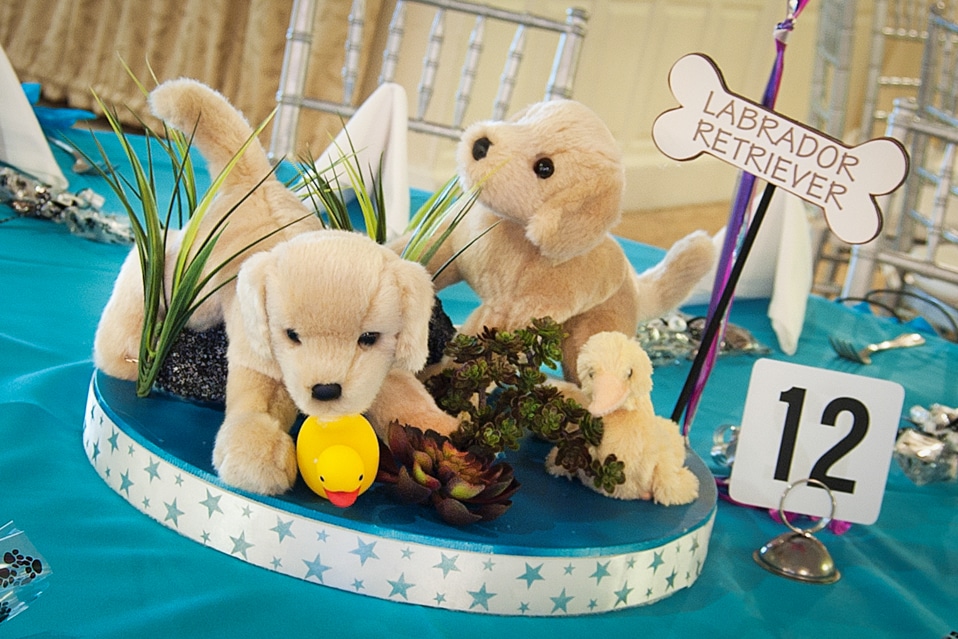Dog Themed Bat Mitzvah Centerpiece
