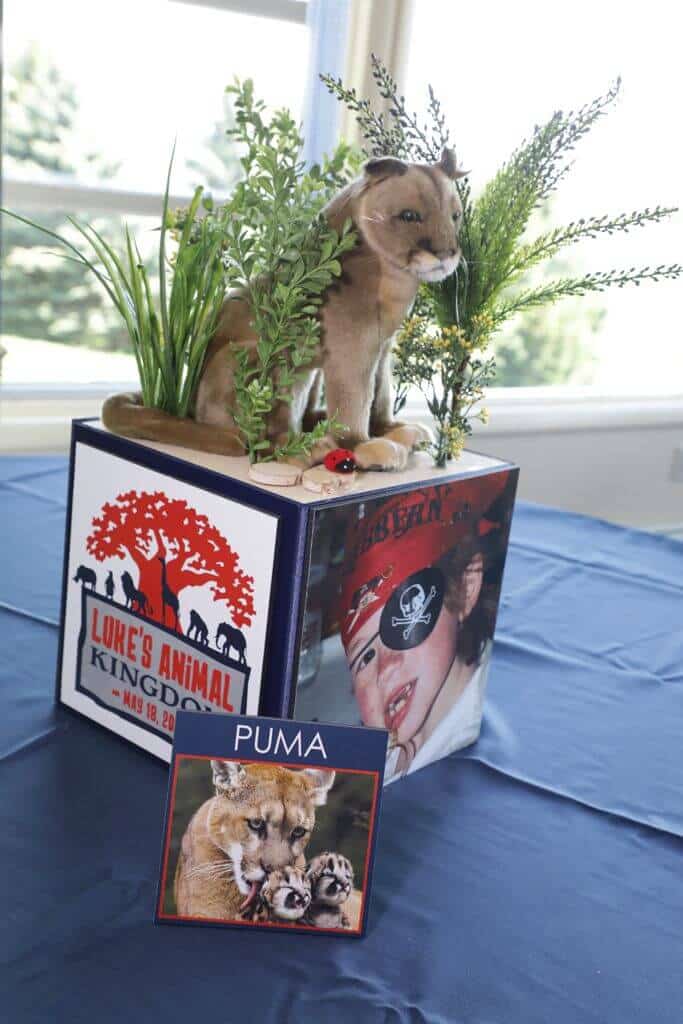 Animal Themed Cube Centerpiece with Custom Logo, Photos and 3D Toppers